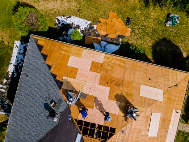 Best Metal Roofing Contractor  in Malvern, IA
